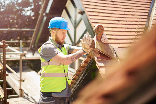 Best Roof Repair Services  in Hebron, IL